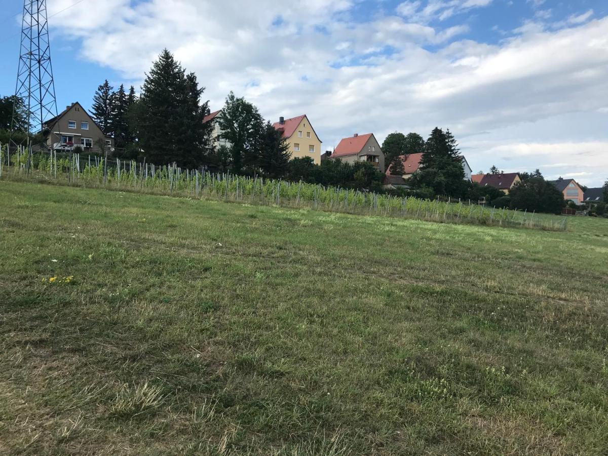 Am Kaitzer Weinberg Appartamento *